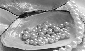 wellness pearls