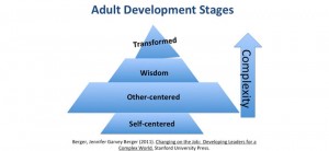 Adult Development Stages